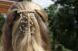 Mobile Preview: Haarspange mit hellbraunem echtem Kork und echten Bergkristall-Perlen auf gewachster Baumwolle
